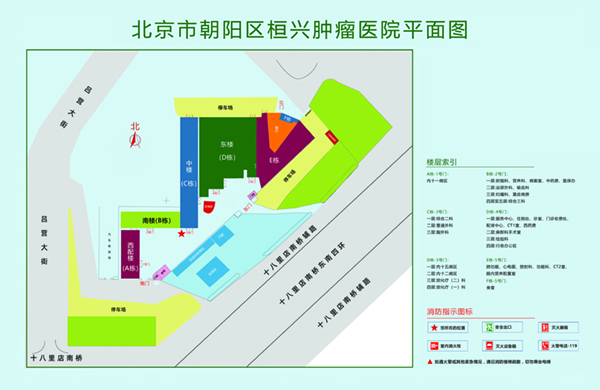 骚逼操啊啊啊操啊啊逼啊啊视频北京市朝阳区桓兴肿瘤医院平面图